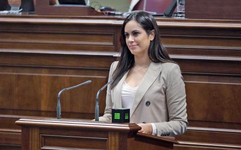 Vidina Espino, portavoz Cs en el Parlamento de Canarias Vidina Espino, portavoz Cs en el Parlamento de Canarias
