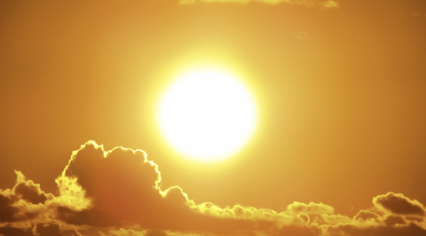 Calor en Canarias. CanariasNoticias.es Calor en Canarias. CanariasNoticias.es