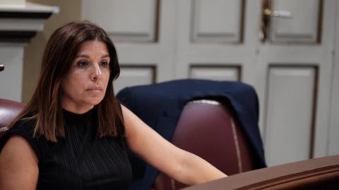 Carmen Hernández, portavoz parlamentaria de Nueva Canarias (NC) en materia social Carmen Hernández, portavoz parlamentaria de Nueva Canarias (NC) en materia social
