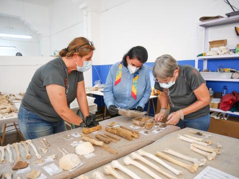 Estudio de restos de la cueva de Los Canarios en el barranco de Guayadeque. Gran Canaria