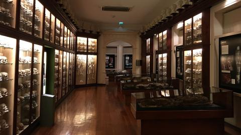 El Museo Canario. Las Palmas de Gran Canaria El Museo Canario. Las Palmas de Gran Canaria