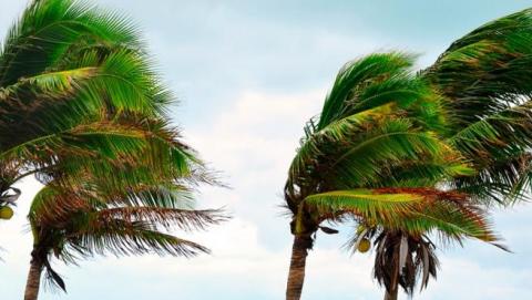 Viento en Canarias / CanariasNoticias.es viento en Canarias / CanariasNoticias.es