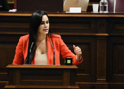 Vidina Espino, portavoz Cs en el Parlamento de Canarias / CanariasNoticias.es Vidina Espino, portavoz Cs en el Parlamento de Canarias / CanariasNoticias.es