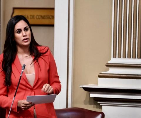 Vidina Espino, portavoz Cs en el Parlamento de Canarias Vidina Espino, portavoz Cs en el Parlamento de Canarias