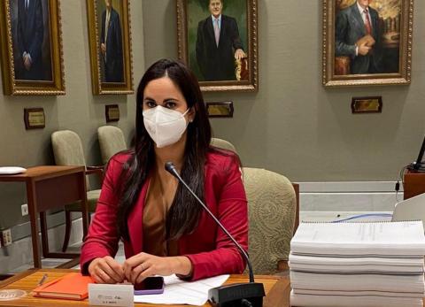 Vidina Espino, portavoz Cs en el Parlamento de Canarias Vidina Espino, portavoz Cs en el Parlamento de Canarias