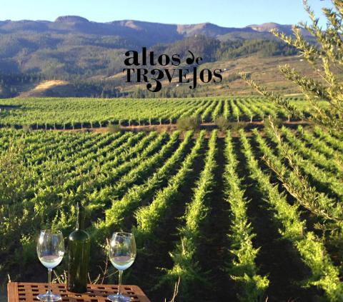 Bodegas Altos de Trevejos, Premio Tenerife Rural/ canariasnoticias.es 13122020 Bodegas Altos de Trevejos, Premio Tenerife Rural/ canariasnoticias.es 13122020