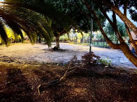 San Lorenzo. Las Palmas de Gran Canaria / CanariasNoticias.es San Lorenzo. Las Palmas de Gran Canaria / CanariasNoticias.es