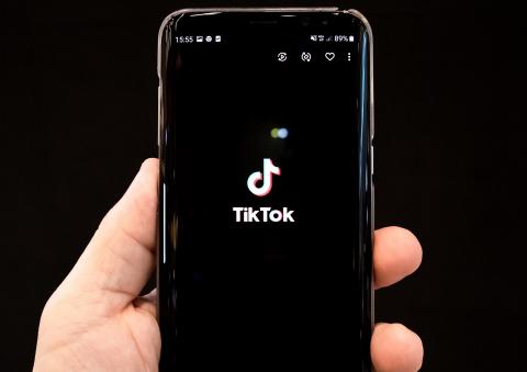 / olivier bergeron (Pixabay) TikTok