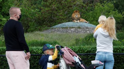 familia visita un zoo