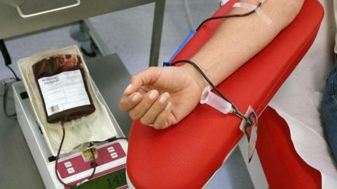 Donación de sangre / CanariasNoticias.es Donación de sangre / CanariasNoticias.es
