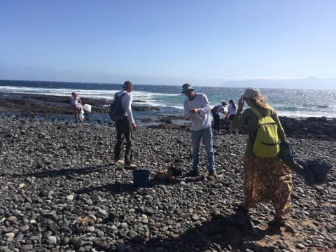 Limpiando el litoral de La Gomera/ canariasnoticias.es