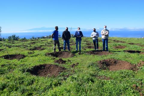 Reforestación de Gáldar / CanariasNoticias.es Reforestación de Gáldar / CanariasNoticias.es