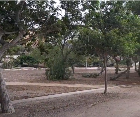 Parques. Las palmas de Gran Canaria/ canariasnoticias.es Parques. Las palmas de Gran Canaria/ canariasnoticias.es