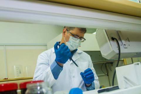 / Михаил Докукин (Pixabay) Laboratorio