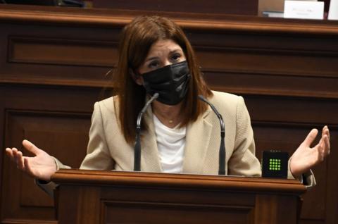 Carmen Hernández en el Parlamento de Canarias / CanariasNoticias.es Carmen Hernández en el Parlamento de Canarias / CanariasNoticias.es
