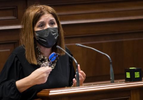 Carmen Hernández, portavoz parlamentaria de Nueva Canarias (NC) en materia social / CanariasNoticias.es Carmen Hernández, portavoz parlamentaria de Nueva Canarias (NC) en materia social / CanariasNoticias.es