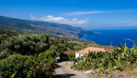 La Palma / CanariasNoticias.es La Palma / CanariasNoticias.es