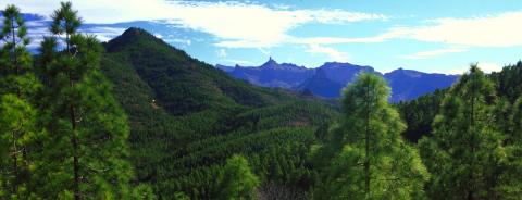 Cumbres de Gran Canaria / CanariasNoticias.es