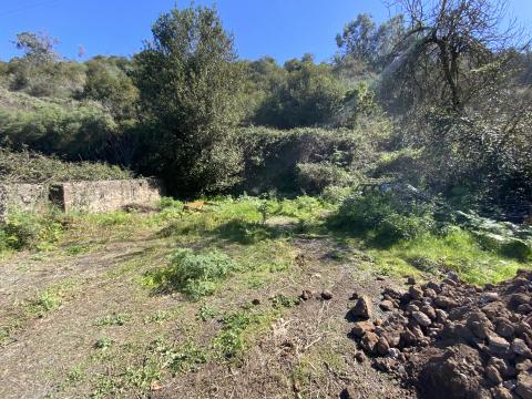 Valleseco adquiere el terreno de El Molino para aparcamientos / CanariasNoticias.es Valleseco adquiere el terreno de El Molino para aparcamientos / CanariasNoticias.es