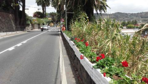 Parques y Jardines de Santa Brígida / CanariasNoticias.es