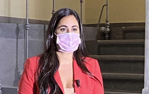 Vidina Espino, portavoz Cs en el Parlamento de Canarias / CanariasNoticias.es Vidina Espino, portavoz Cs en el Parlamento de Canarias / CanariasNoticias.es