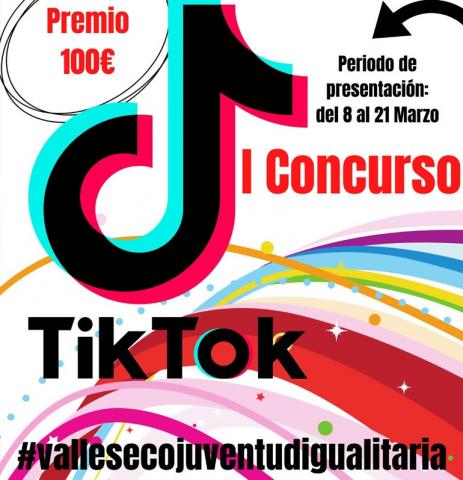 Cartel del concurso “Juventud igualitaria” de TikTok / CanariasNoticias.es Cartel del concurso “Juventud igualitaria” de TikTok / CanariasNoticias.es