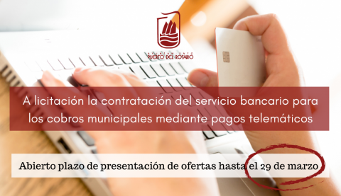 Licitación de pagos telemáticos del Ayuntamiento de Puerto del Rosario (Fuerteventura) / CanariasNoticias.es