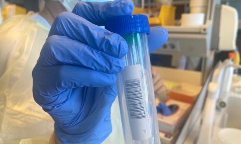 Coronavirus en Canarias / CanariasNoticias.es Coronavirus en Canarias / CanariasNoticias.es