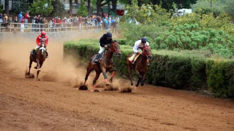 Carreras de Caballos en el hipódromo de la Laguna de Valleseco (Gran Canaria) / CanariasNoticias.es