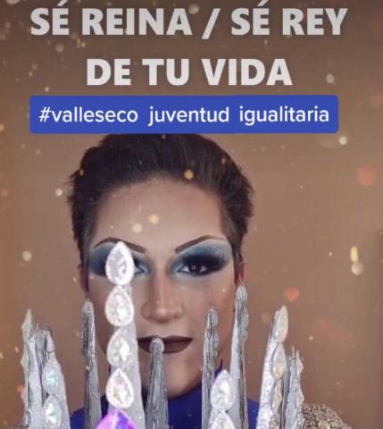 Cartel ganador del concurso de TikTok "Juventud igualitaria" de Valleseco / Canarias Noticias.es