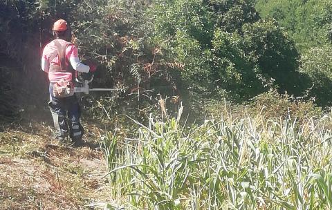 Limpieza de fincas en Gran Canaria / CanariasNoticias.es Limpieza de fincas en Gran Canaria / CanariasNoticias.es