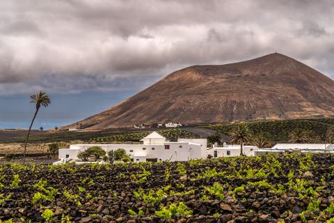 Bodegas El Grifo. Lanzarote Bodegas El Grifo. Lanzarote