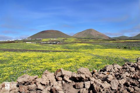 Conil. Tías. Lanzarote/ canariasnoticias Conil. Tías. Lanzarote/ canariasnoticias