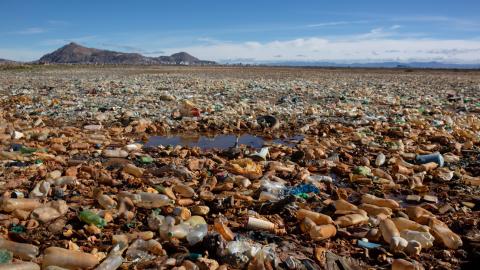 Lago Uru Uru. Bolivia. Contaminación