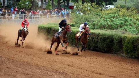 Carrera de caballos en La Laguna de Valleseco (Gran Canaria) / CanariasNoticias.es Carrera de caballos en La Laguna de Valleseco (Gran Canaria) / CanariasNoticias.es