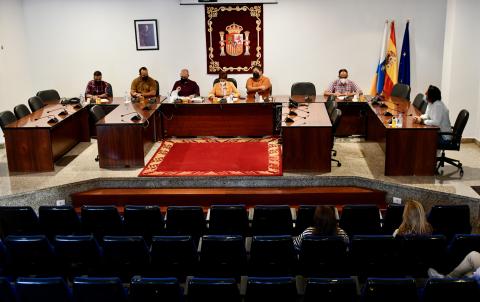 Pleno del Ayuntamiento de Mogán / CanariasNoticias.es