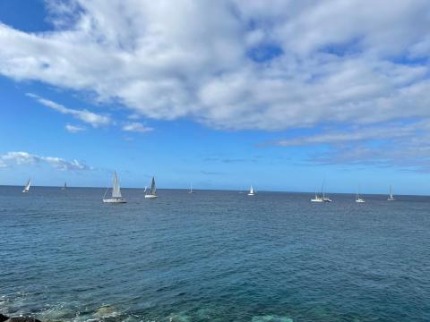 El Puerto de Vueltas recibe la V Regata Puertos Canarios / CanariasNoticias.es