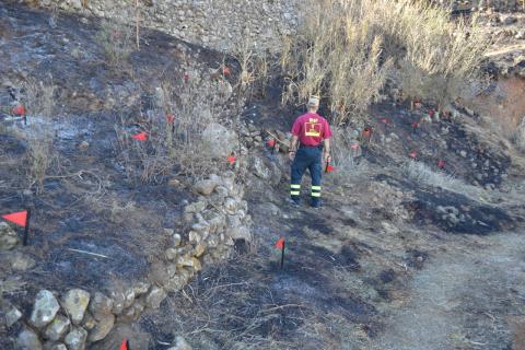 Incendio de Arico/ canariasnoticias Incendio de Arico/ canariasnoticias