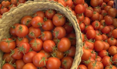 Tomates de Canarias / CanariasNoticias.es Tomates de Canarias / CanariasNoticias.es