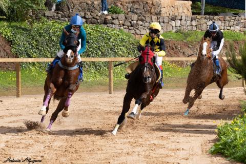 Carrera de caballos en La Laguna de Valleseco (Gran Canaria) / CanariasNoticias.es Carrera de caballos en La Laguna de Valleseco (Gran Canaria) / CanariasNoticias.es