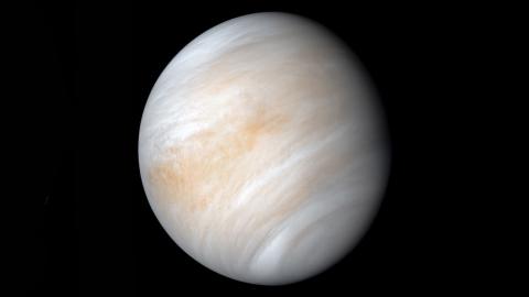 Venus Venus