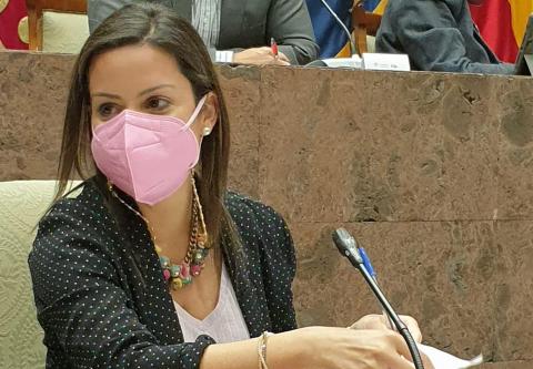 Yaiza Castilla, consejera de Turismo de Canarias / CanariasNoticias.es Yaiza Castilla, consejera de Turismo de Canarias / CanariasNoticias.es