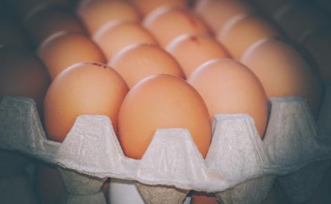Huevos/ canariasnoticias Huevos/ canariasnoticias