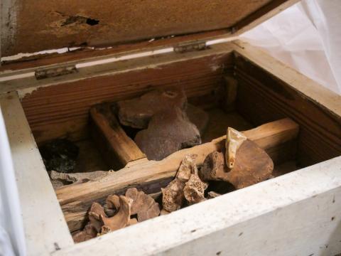 Patrimonio Cultural entrega 17 cajas de material arqueológico guanche al MUNA / CanaraisNoticias.es Patrimonio Cultural entrega 17 cajas de material arqueológico guanche al MUNA / CanaraisNoticias.es