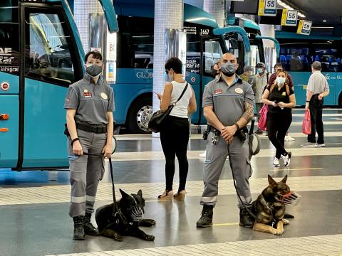 Presentación de la Unidad Canina de las Estaciones en Las Palmas de Gran Canaria, / CanariasNoticias.es
