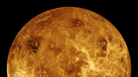 Venus Venus