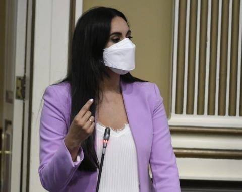 Vidina Espino, portavoz Cs en el Parlamento de Canarias / CanariasNoticias.es