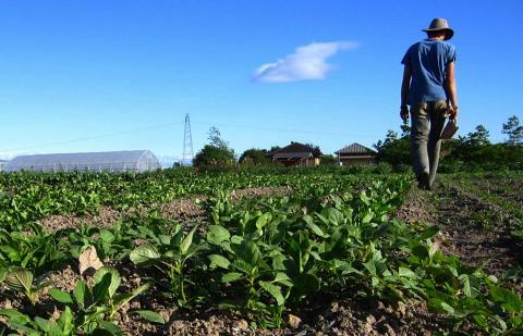 Ayudas para jóvenes agricultores de Canarias / CanariasNoticias.es Ayudas para jóvenes agricultores de Canarias / CanariasNoticias.es