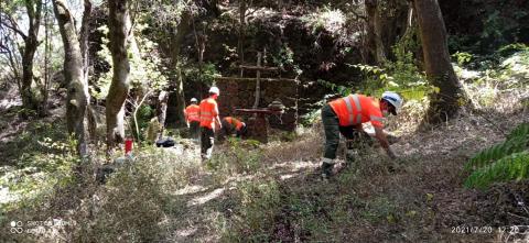 Mantenimiento y mejora de senderos en El Hierro / CanariasNoticias.es Mantenimiento y mejora de senderos en El Hierro / CanariasNoticias.es