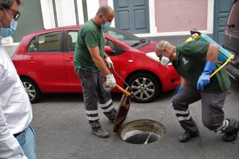 Control de plagas en La Isleta, en Las Palmas de Gran Canaria / CanariasNoticias.es